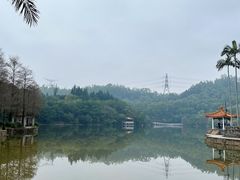 -深圳仙湖植物园