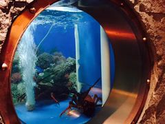 -辉哥火锅(虹桥路店)