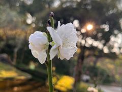 -桃花涧