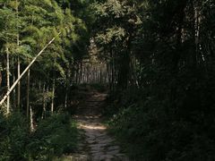 -南北湖风景区