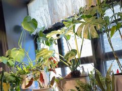 -懒人盐府人家(航天桥店)