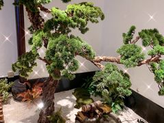 -喜湘宴·精致湖南菜(和平西桥店)