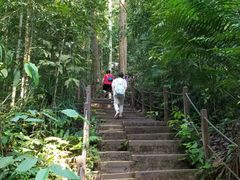 -武吉知马自然保护区