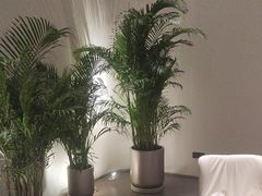 -YCHL FIT 健身(星寰店)