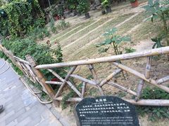 -恭王府博物馆