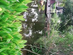 -洪湖家庭农场·团建·露营·会议