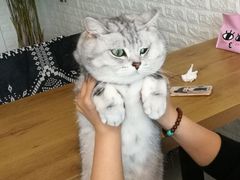 -平行世界·猫咖(首经贸店)