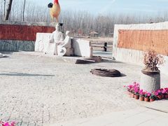 -合肥滨湖国家森林公园