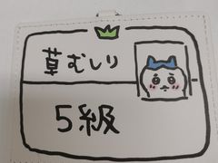 -名创优品(万达广场河东店)