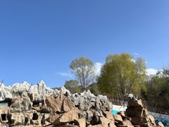 -青藏高原野生动物园