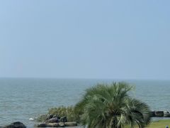 -苏州湾体育公园