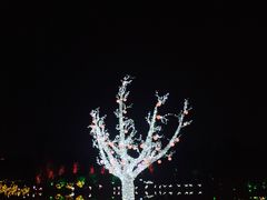-秀丽东方