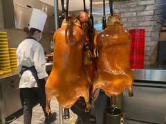 -壹零捌道·北京烤鸭(车公庄店)
