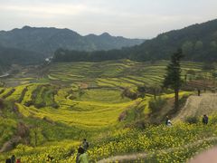 景点-灵山景区梯田