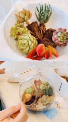 -蜜悦居月子会所(环贸中心店)