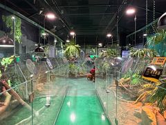 -上海大自然野生昆虫馆(东方明珠·爬宠昆虫探索中心)