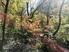 -参仙谷生态旅游度假区