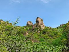 -大岭沟猕猴桃谷风景区