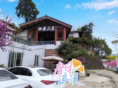 -桃源山庄·水蜜桃采摘·柴火鸡·烧烤团建(龙泉山店)