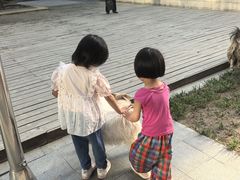 -廊坊固安福朋喜来登酒店