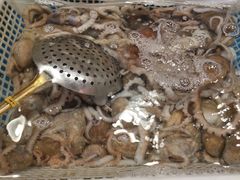 -旺角小渔村·海肠捞饭开创者(环山路店)