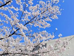 -龙美术馆(西岸馆)