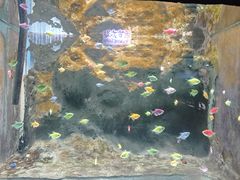 -苏州海洋馆