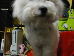 -游人馆·桌游狼人杀团建馆(人广书城店)