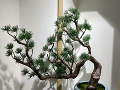 -广州花园酒店