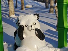-沈阳奥体冰雪嘉年华
