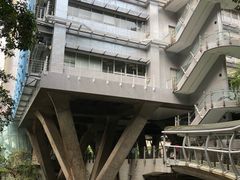 -香港大学