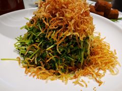 巧拌豆苗-四季民福烤鸭店(王府井灯市口店)