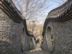 -朴园