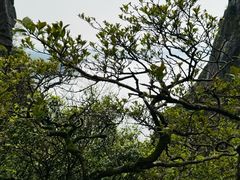 -萍乡武功山风景名胜区