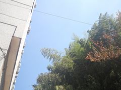 -湖北美术学院(昙华林校区)