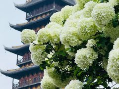 -常熟方塔园