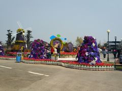 -荷兰花海