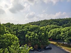 -上海佘山茂御臻品之选酒店(原佘山艾美酒店)