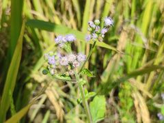 -K·Kitchen KK牛扒厨房(江南西店)