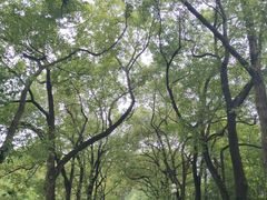 -东湖落雁景区