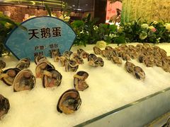 -小天鹅戴斯酒店鲸鲨百汇创作料理
