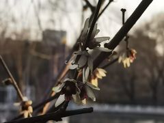 -丰台花园