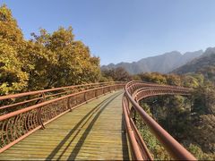 -少华山国家森林公园