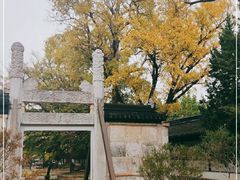 -苏州文庙(姑苏区)