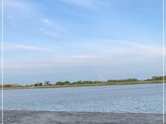 -大湾区中央湿地公园-十九涌
