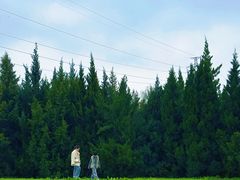 -汉长安城未央宫国家考古遗址公园