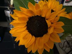 -阿男野栗王(金门路店)