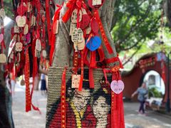 -白帝城·瞿塘峡景区