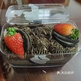 美团上团的下午茶,非常实惠,巧克力提拉米苏好滋好味