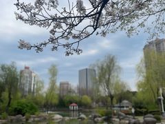 -新虹桥中心花园